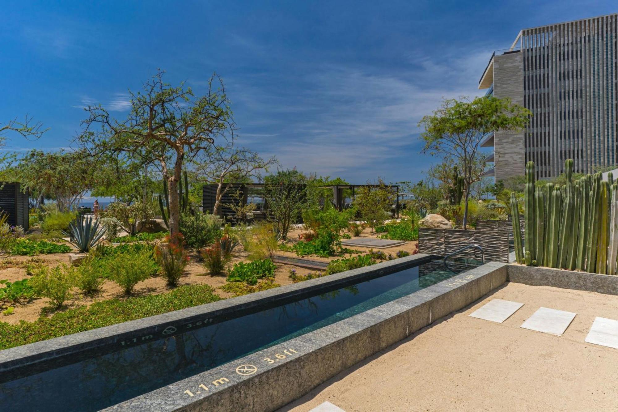 San José del Cabo Solaz, A Luxury Collection Resort, Los Cabos מראה חיצוני תמונה